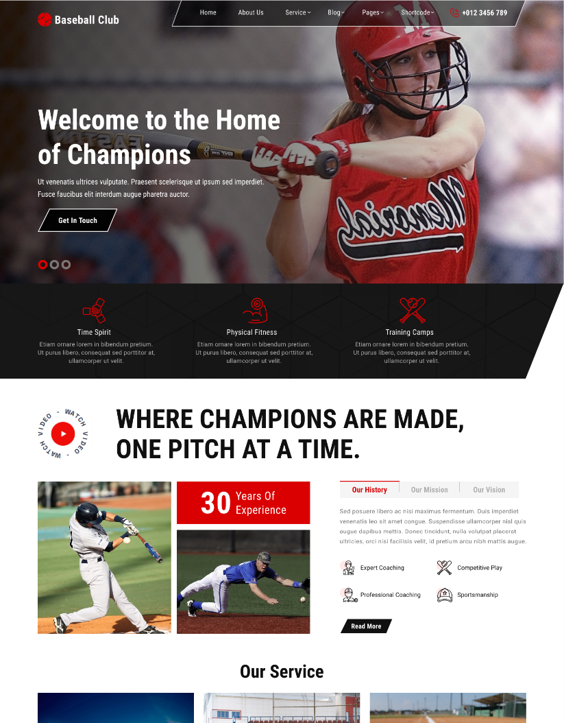 Free Baseball Wordpress Theme