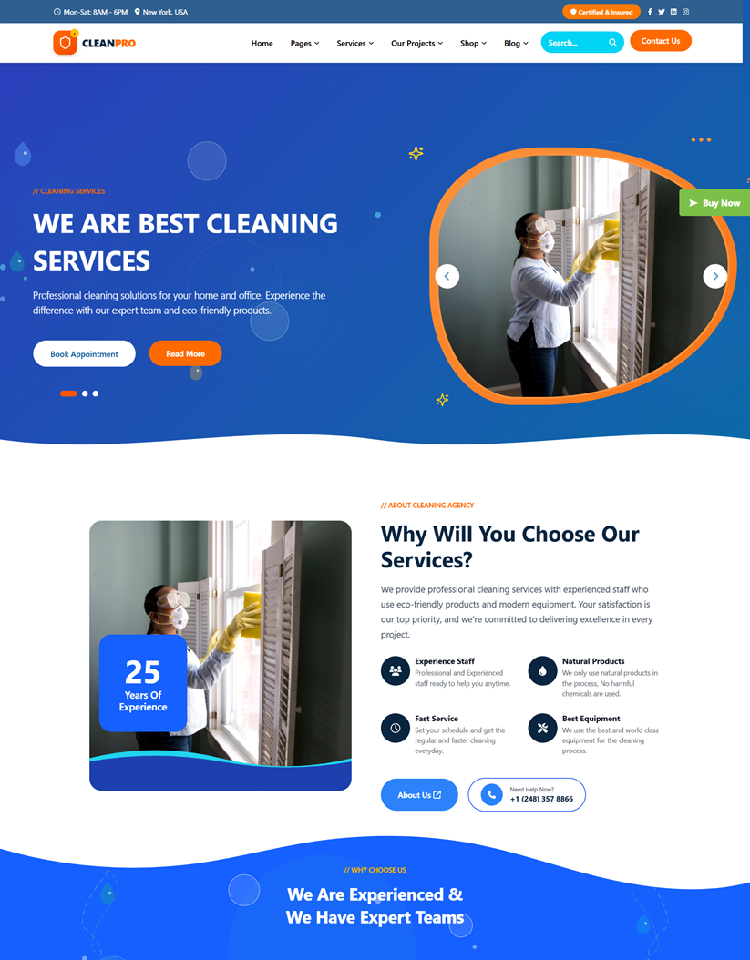 Premium All Cleaning Services Wordpress Theme